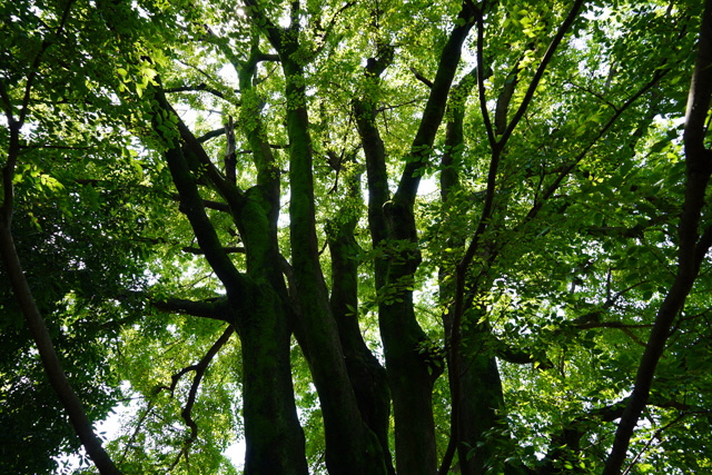 8月21日イベント写真