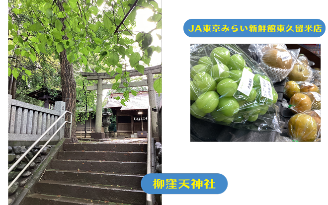 まちっこ広報部員　ちーのベストショット（柳窪天神社・JA東京みらい新鮮館東久留米店）