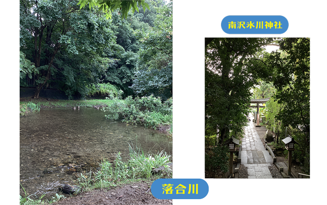 まちっこ広報部員　カハラのベストショット（落合川・南沢氷川神社）