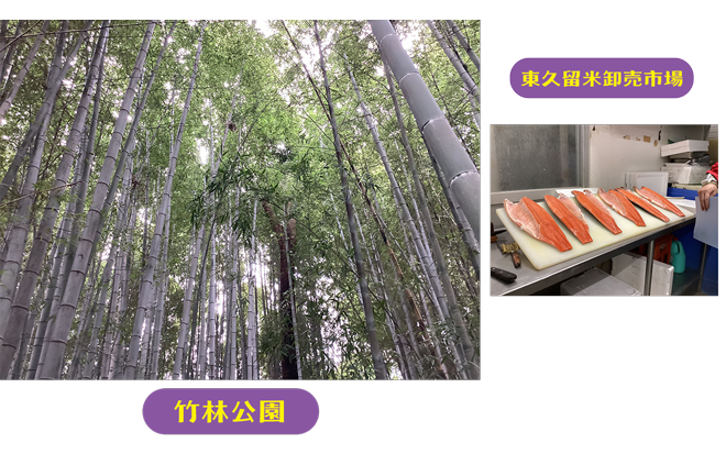 まちっこ広報部員　まやのベストショット（竹林公園・東久留米卸売市場）