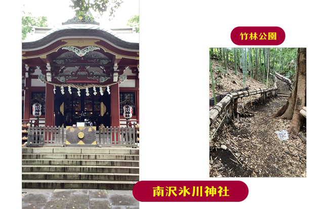 まちっこ広報部員　りおの選んだ写真（南沢氷川神社・竹林公園）
