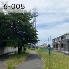 6-005