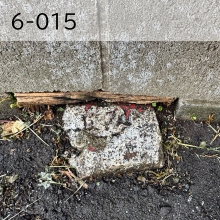 6-015（外部リンク・新しいウインドウで開きます）