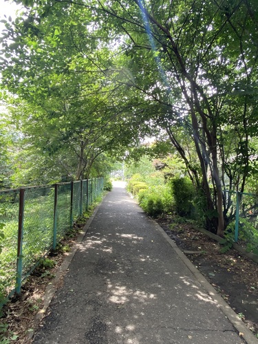 旧市役所通り